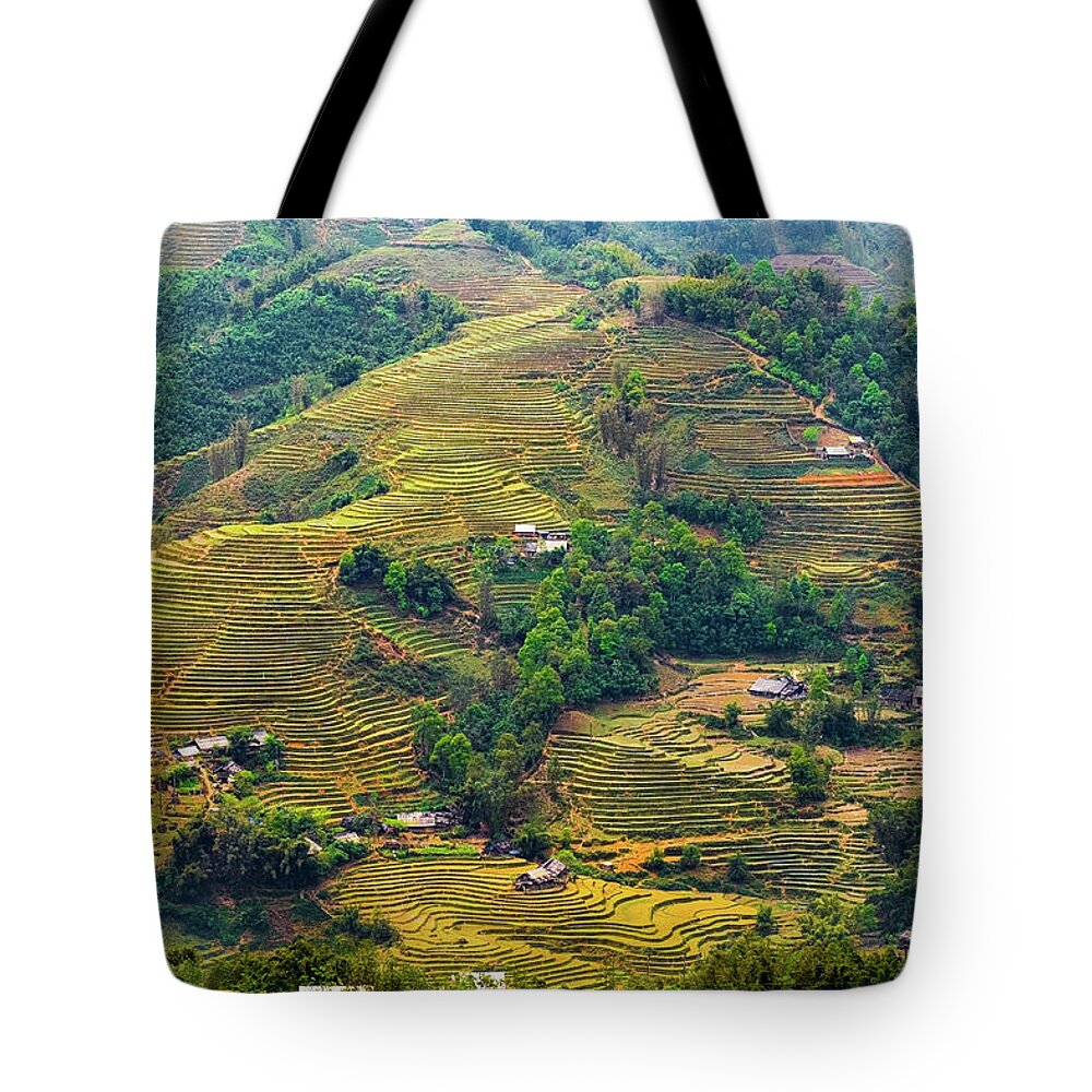 Black Tote Bag featuring the photograph Rice Terraces in Sapa by Arj Munoz