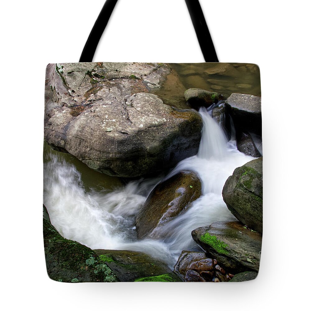Cumberland Plateau Tote Bag featuring the photograph Richland Creek 13 #1 by Phil Perkins