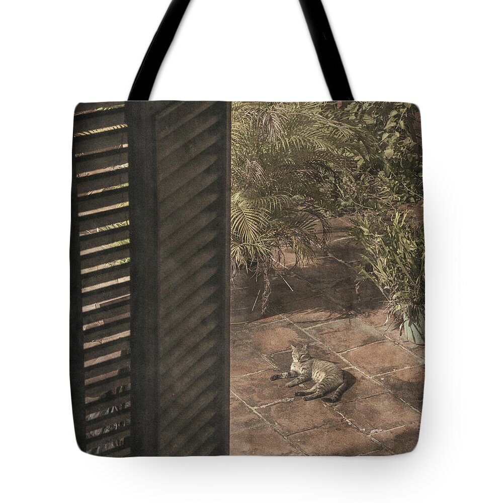 Cat Tote Bag featuring the photograph Royalty #1 by M Kathleen Warren