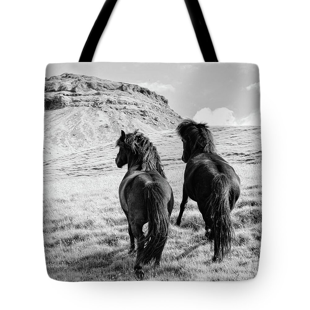 Photographs Tote Bag featuring the photograph Run away together #1 by Lisa Saint