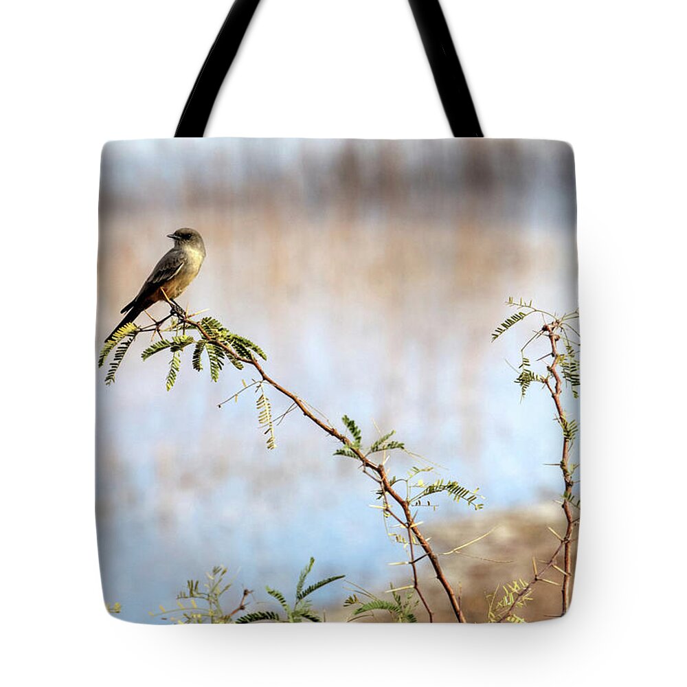 Arizona Tote Bag featuring the photograph Say's Phoebe by Robert Harris