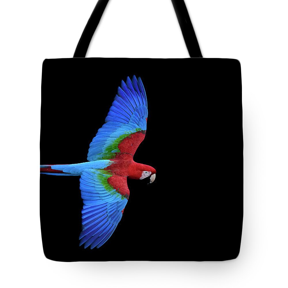 Brazil Tote Bag featuring the photograph Red and Green Macaw by Patrick Nowotny