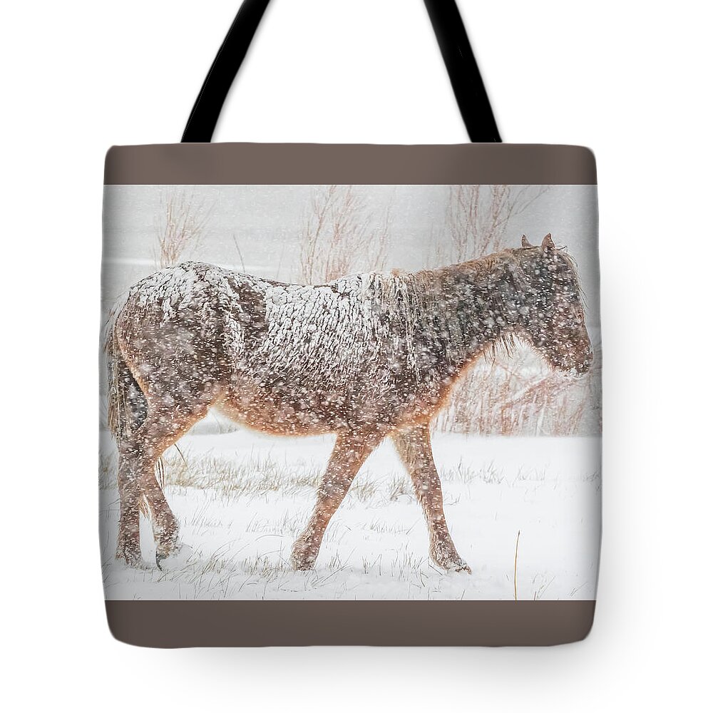 Nevada Tote Bag featuring the photograph Searching For Food #1 by Marc Crumpler