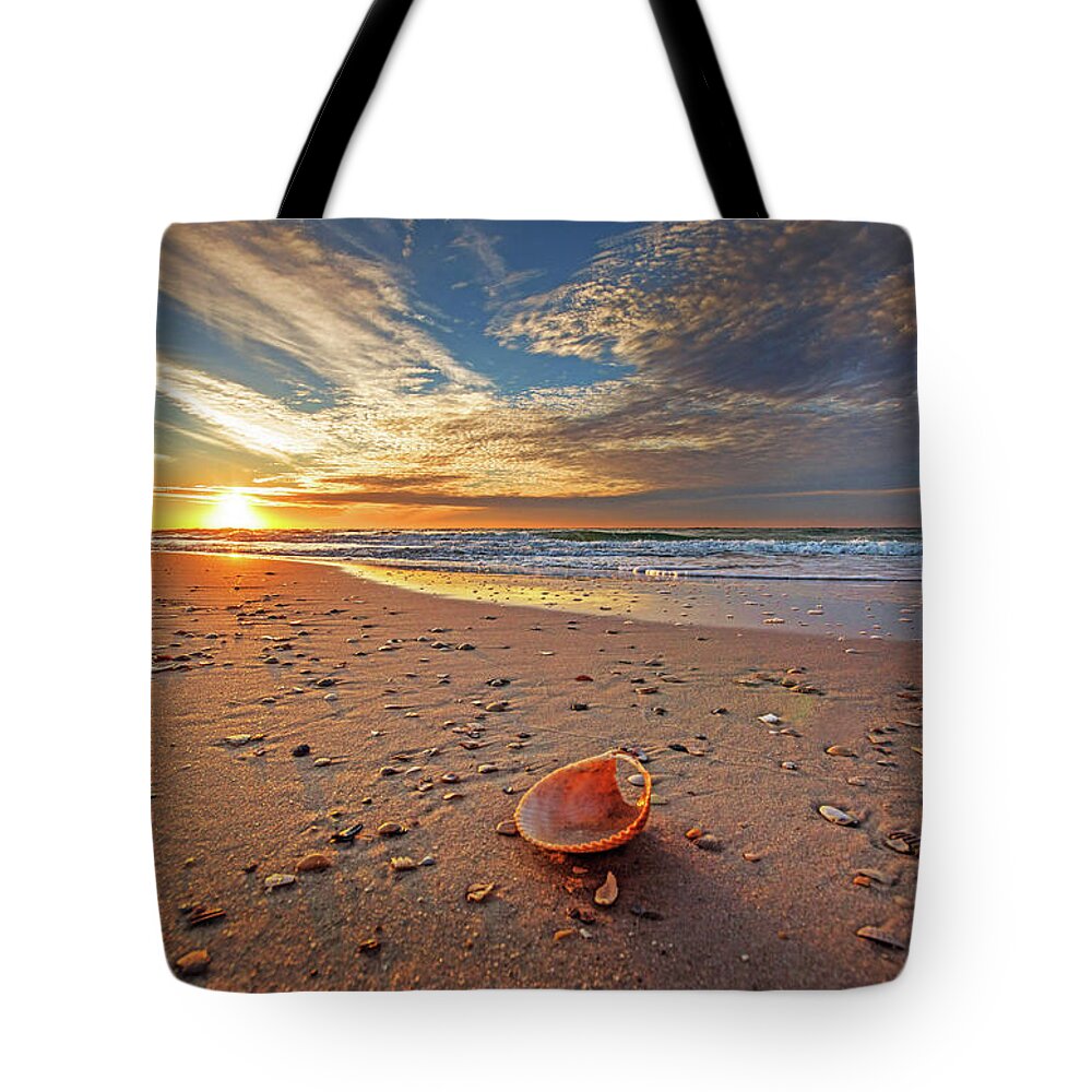 Alabama Tote Bag featuring the photograph Seashell by the Seashore #1 by Michael Thomas