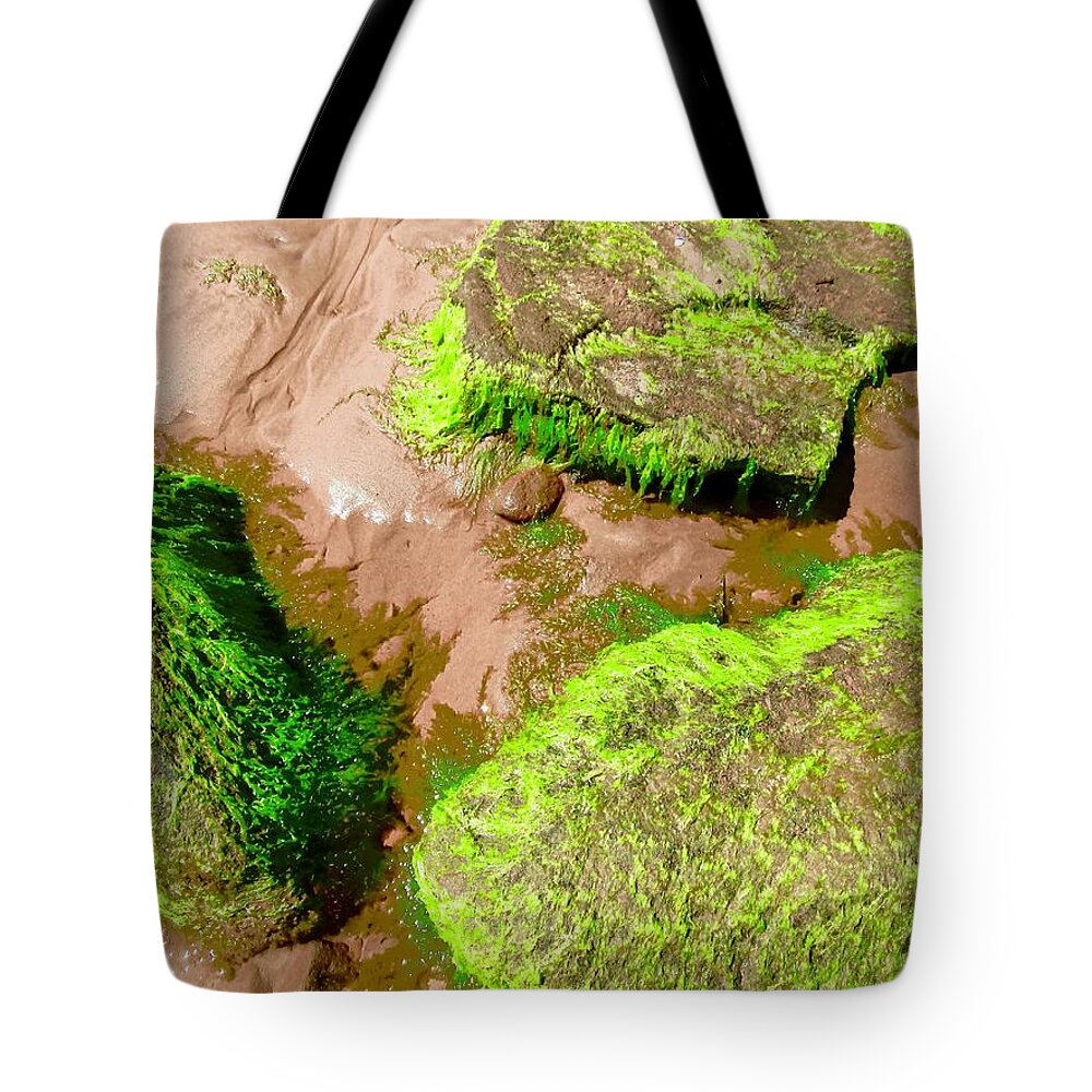 Rocks Tote Bag featuring the photograph Seaweed covered rocks #2 by Stephanie Moore
