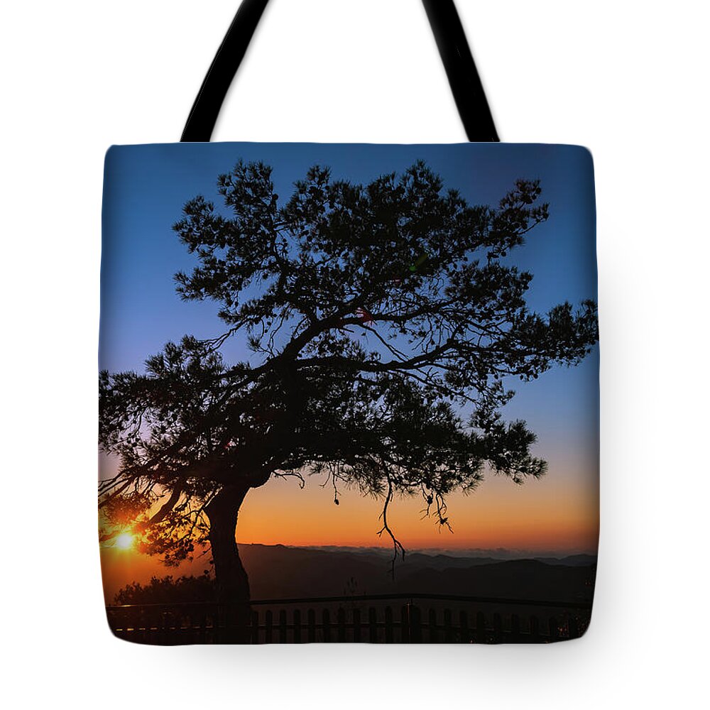 Cyprus Tote Bag featuring the photograph Silhouette of a forest pine tree during blue hour with bright sun at sunset. by Michalakis Ppalis