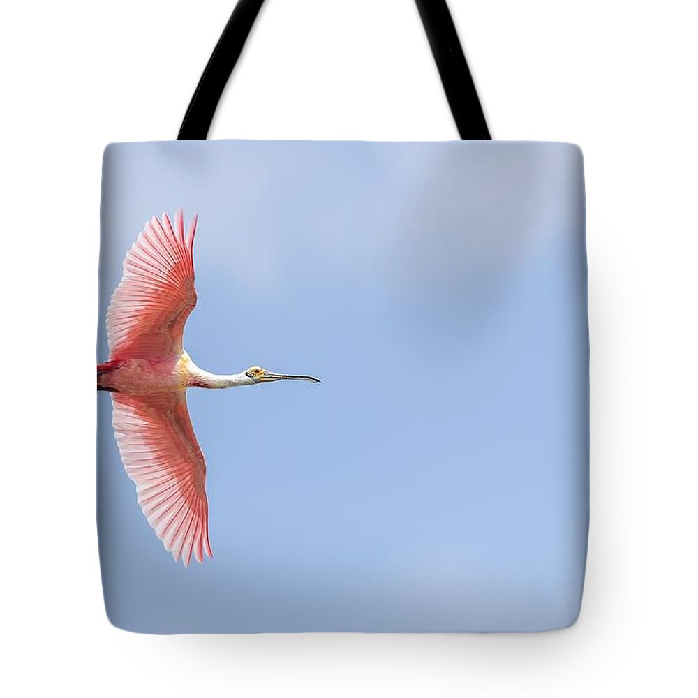 Roseate Spoonbill Tote Bag featuring the photograph Sky is the Limit by Puttaswamy Ravishankar