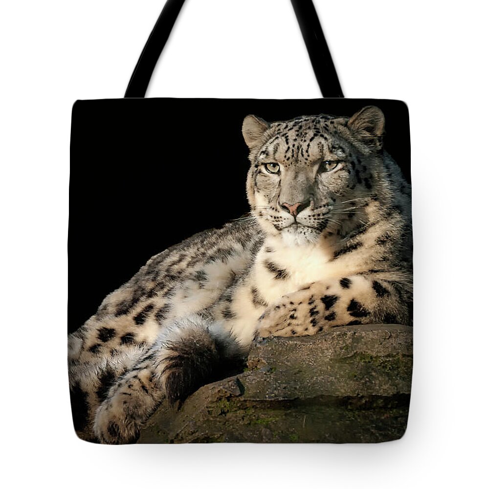 Animal Tote Bag featuring the photograph Snow Leopard portrait by Chris Boulton