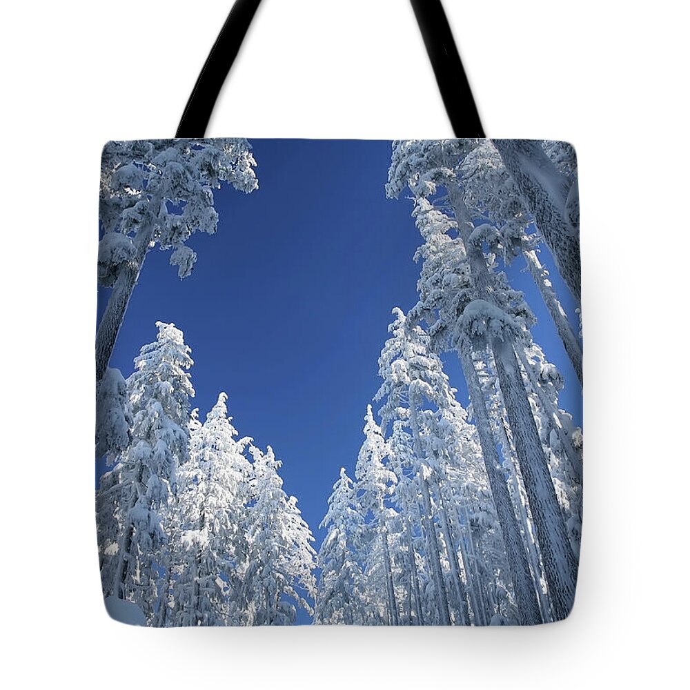 Winter Tote Bag featuring the photograph Mt Bachelor by Mango Art