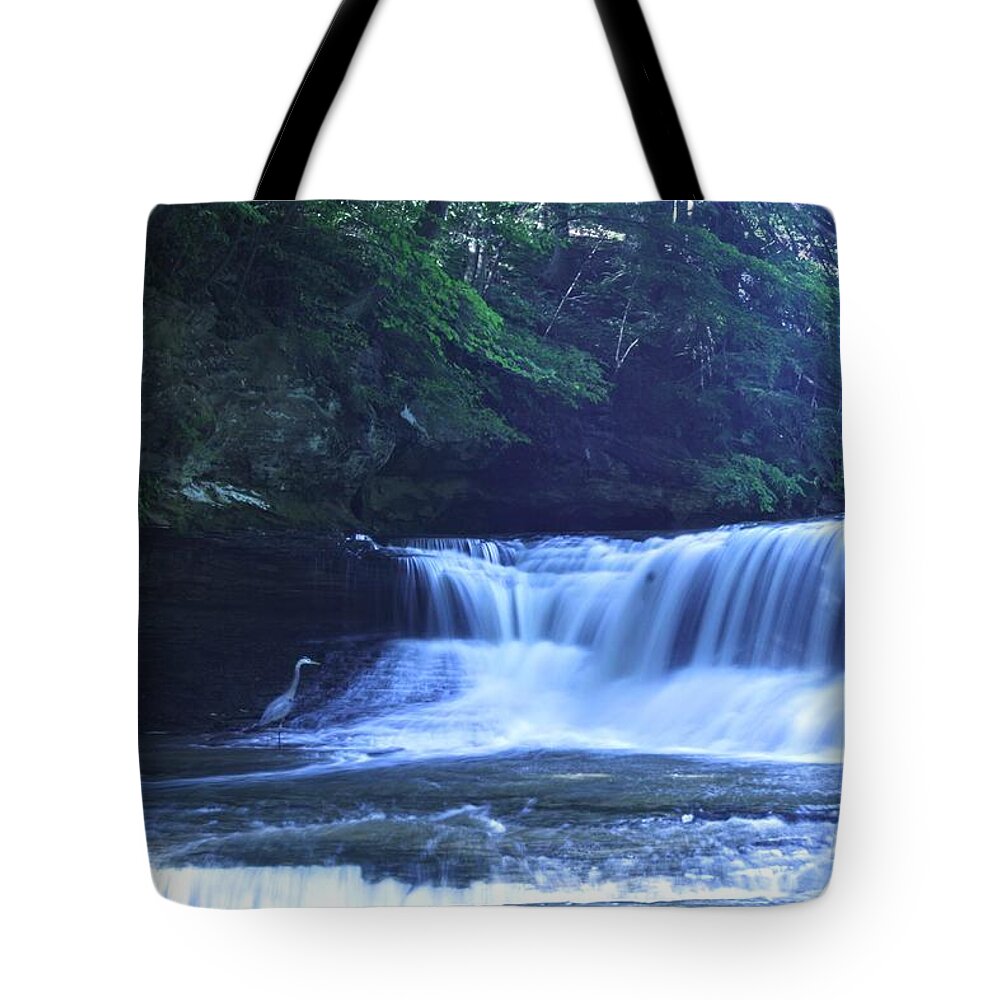  Tote Bag featuring the photograph South Chagrin w Crane #1 by Brad Nellis