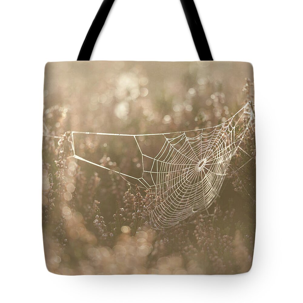 Spider Web Tote Bag featuring the photograph Spider Web by Anita Nicholson