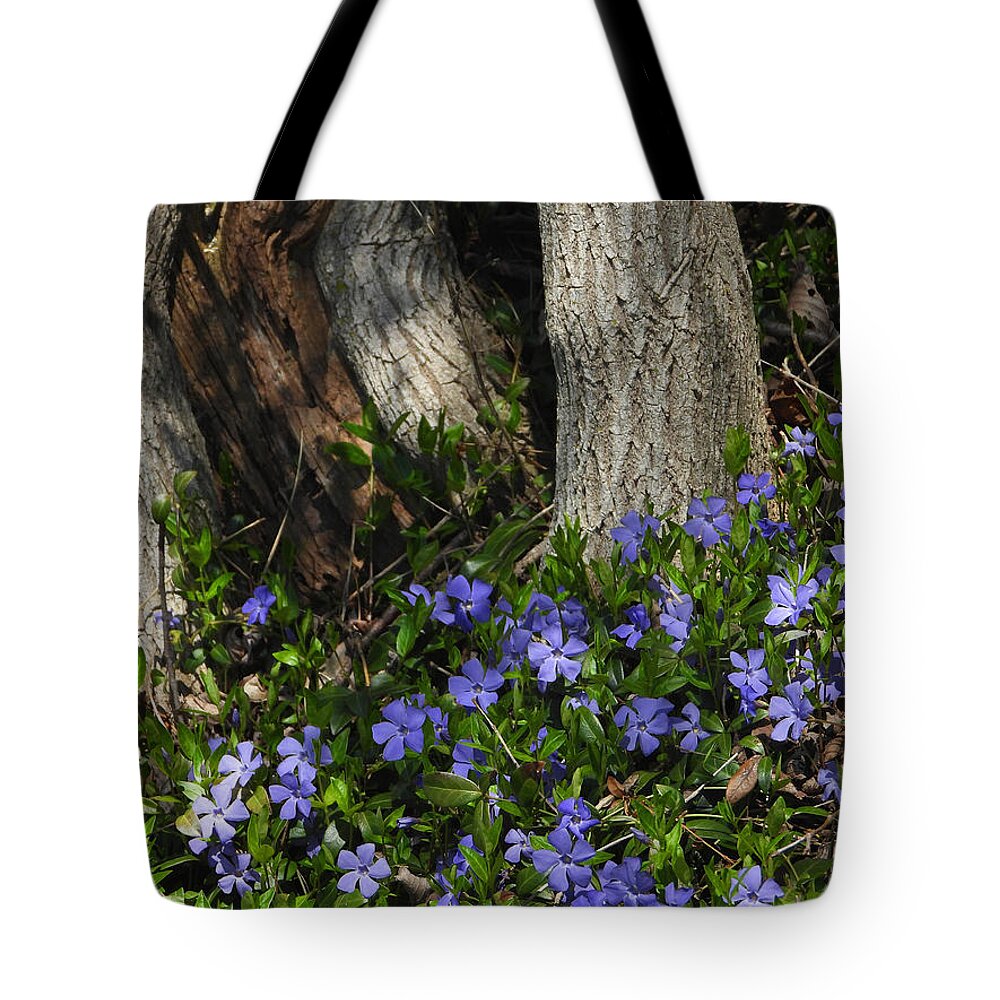 Perwinkle Tote Bag featuring the photograph Spring Has Sprung #1 by Living Color Photography Lorraine Lynch