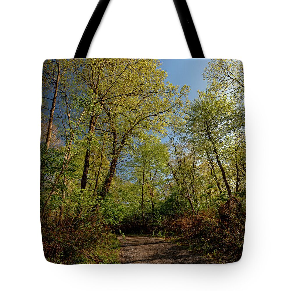 2020 Tote Bag featuring the photograph Spring in Hudson Valey #3 by Stef Ko