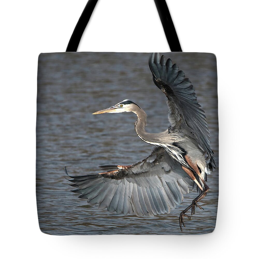Nature Tote Bag featuring the photograph Strike a Pose #1 by Linda Shannon Morgan