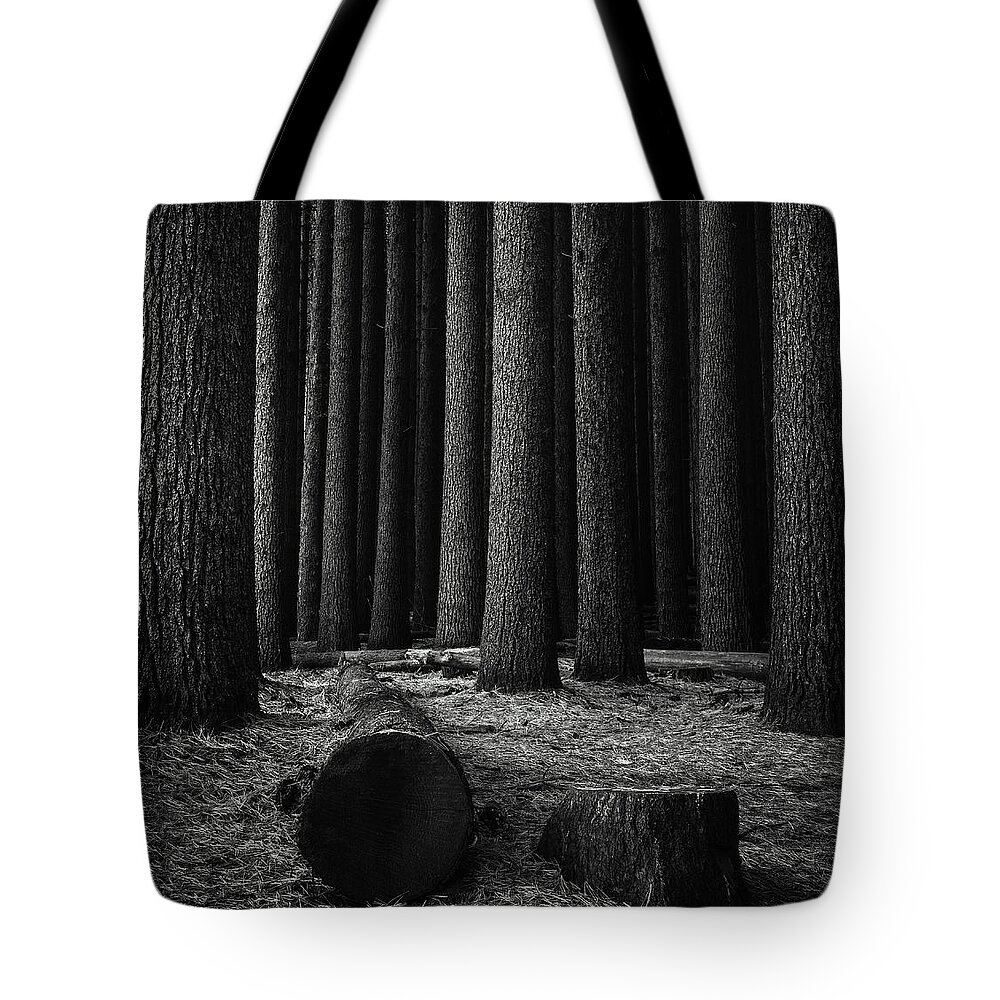 Landscape Tote Bag featuring the photograph Sugar Pines by Grant Galbraith