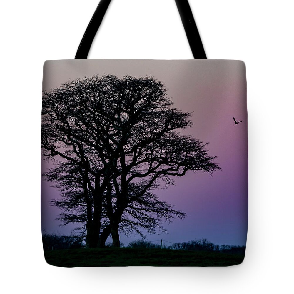 Landscape Tote Bag featuring the photograph Sundown by Cathy Kovarik