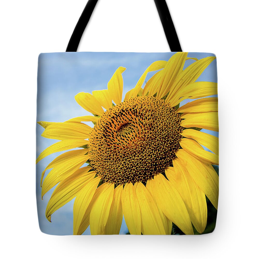 Sunflower Tote Bag featuring the photograph Sunflower against blue sky by Robert Miller