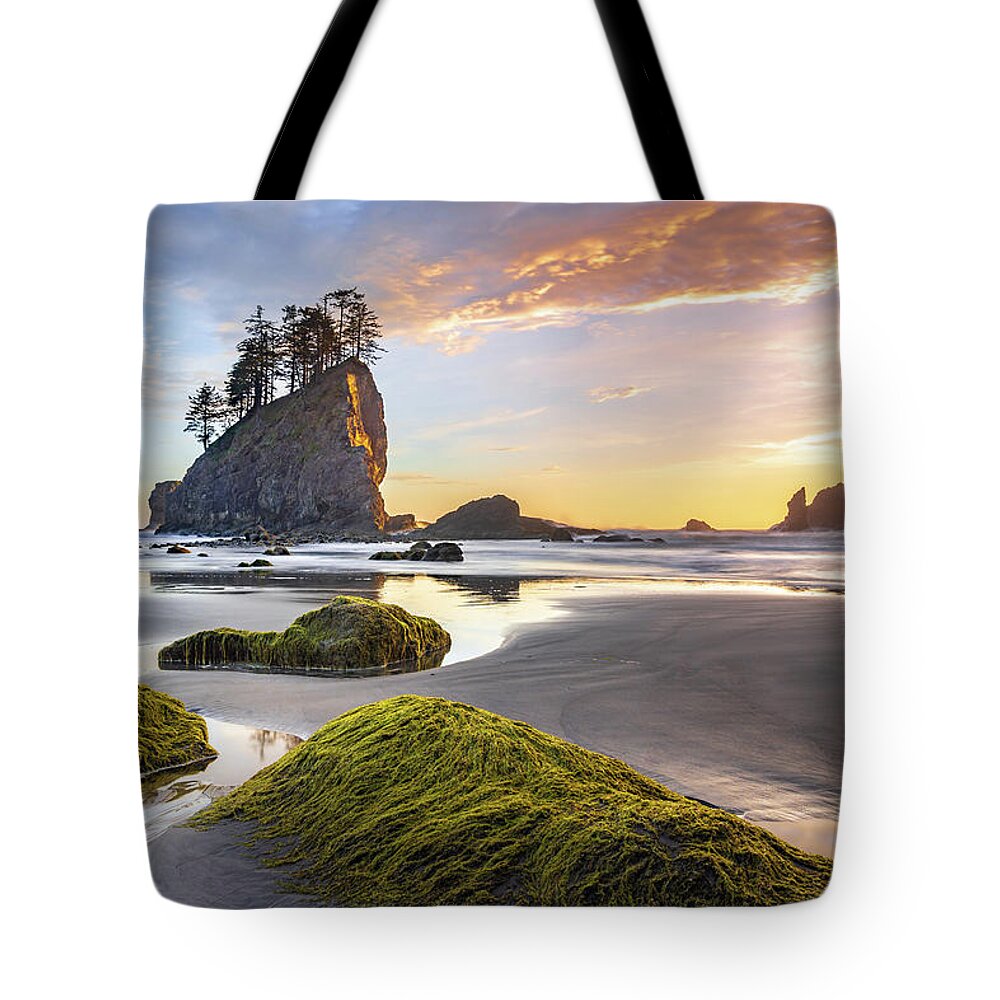 Landscape Tote Bag featuring the photograph Sunset reflections on the beach at Olympic National Park by Robert Miller