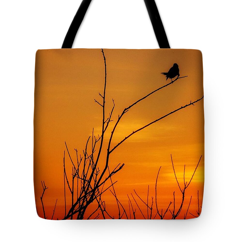 Sunset Bird Tote Bag featuring the photograph Sunset #2 by Windshield Photography