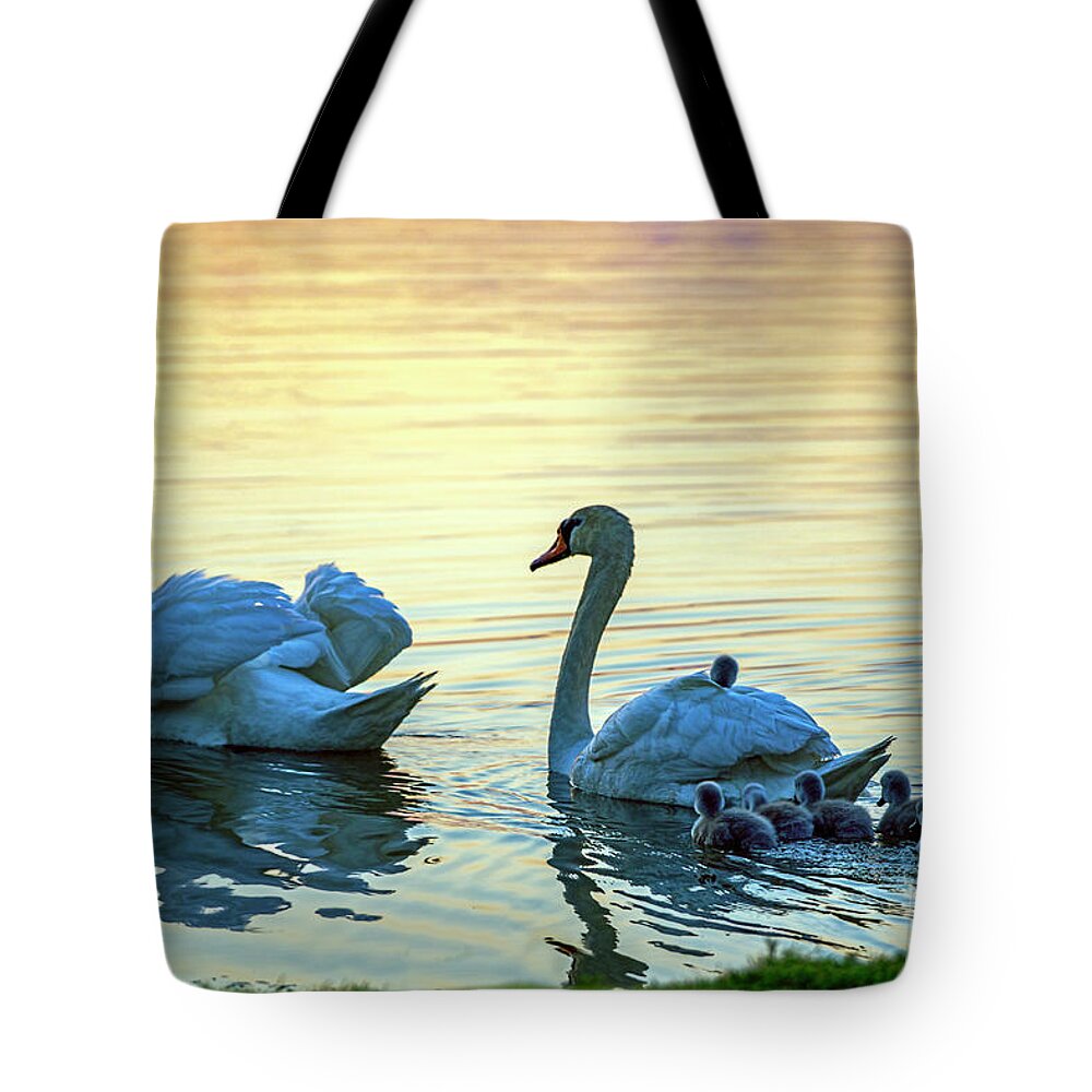 Swan Tote Bag featuring the photograph Swan Family at Sunset #1 by David Arment