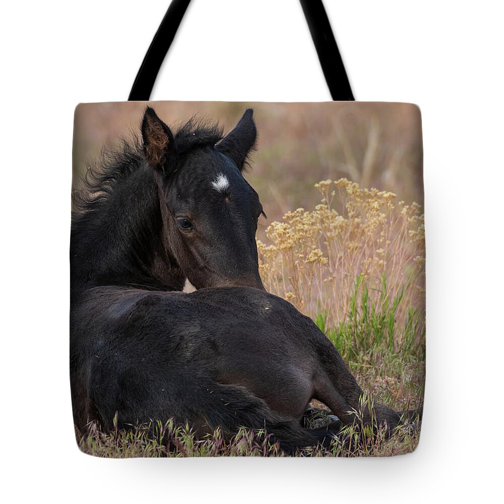 Wild Horses Tote Bag featuring the photograph Sweetness by Mary Hone