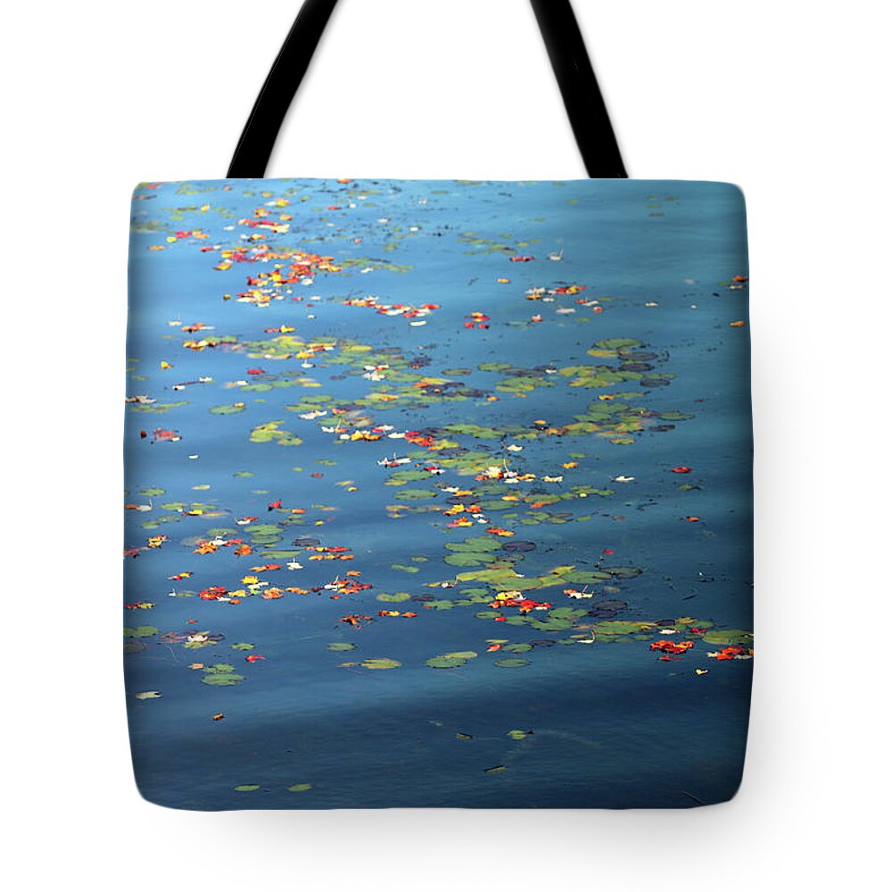 Autumn Leaves Tote Bag featuring the photograph Swirling Dance by Laurie Lago Rispoli