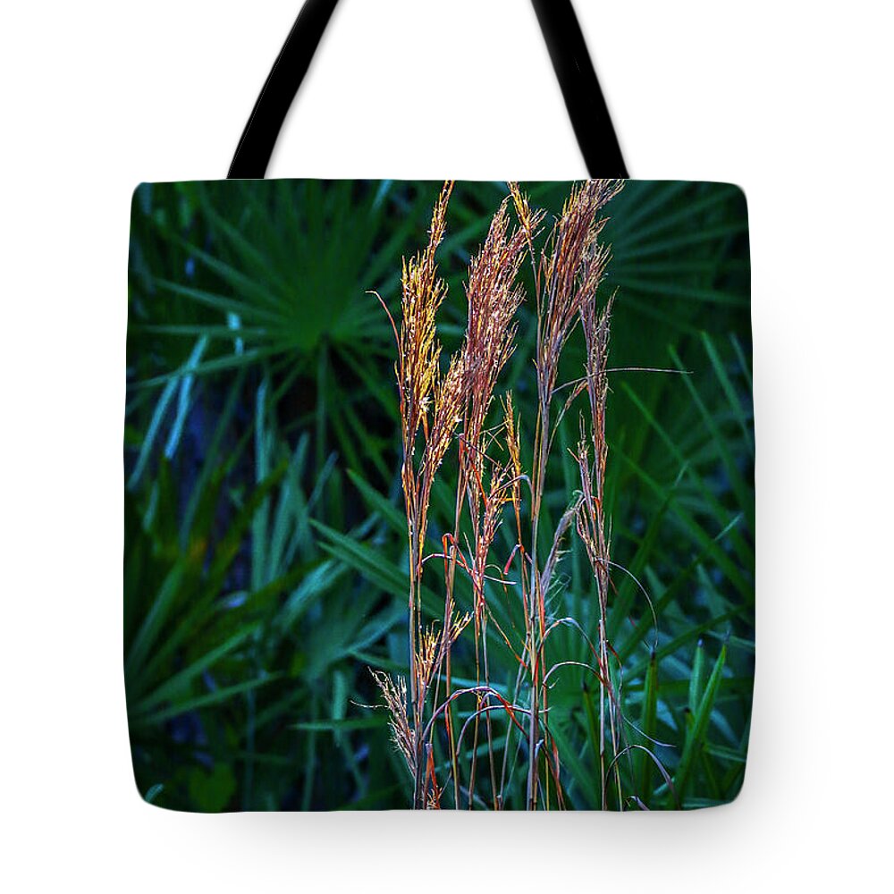 Grass Tote Bag featuring the photograph Tall Grass in Sunlight #1 by Tom Claud