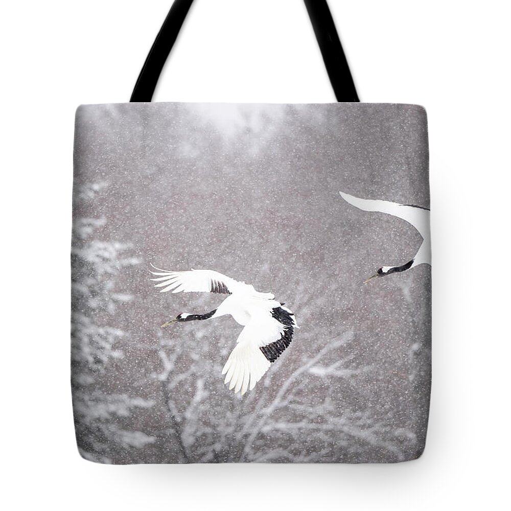 Snow Tote Bag featuring the photograph Tancho in snow #1 by Yoshiki Nakamura