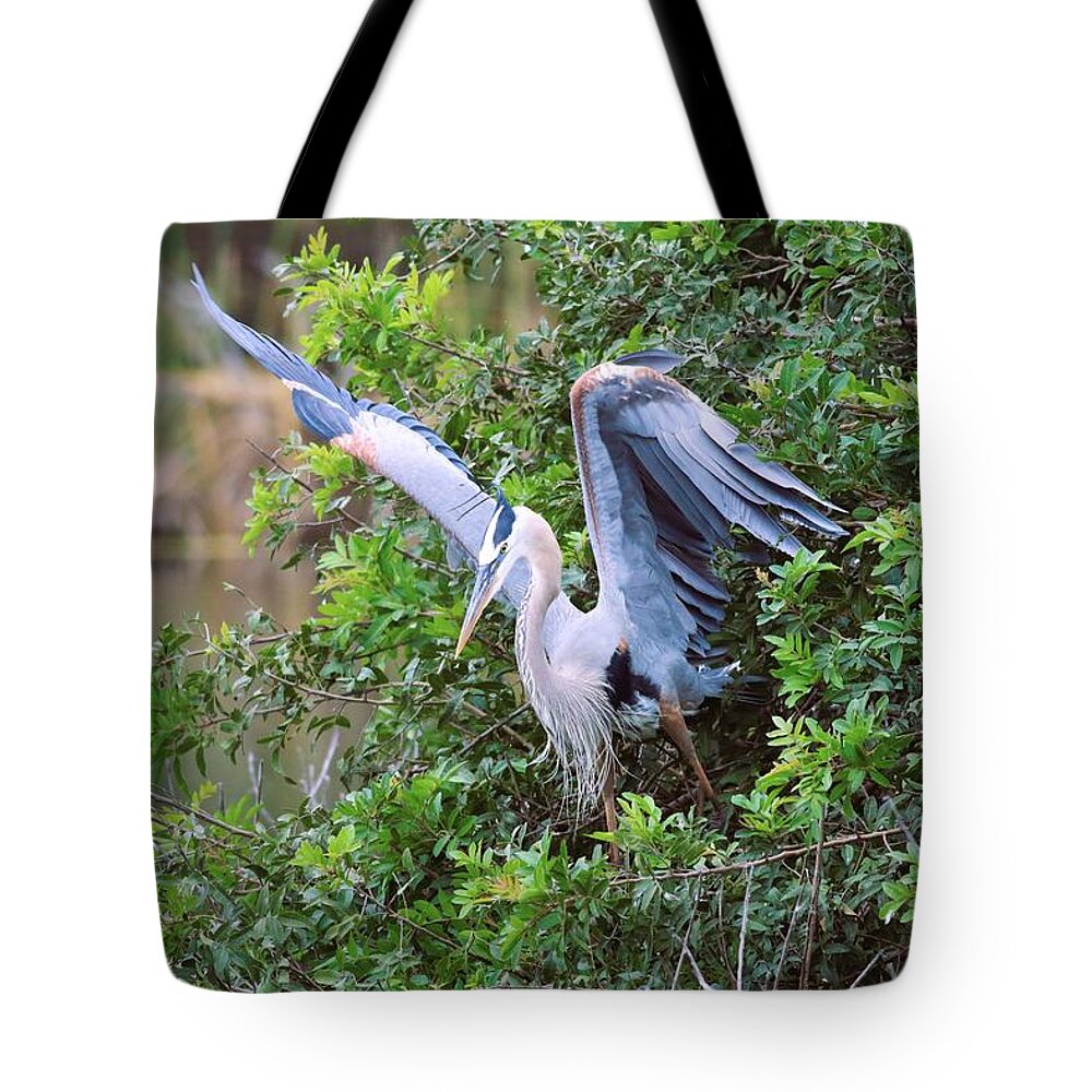 Great Blue Heron Tote Bag featuring the photograph The Workout  #1 by Michiale Schneider