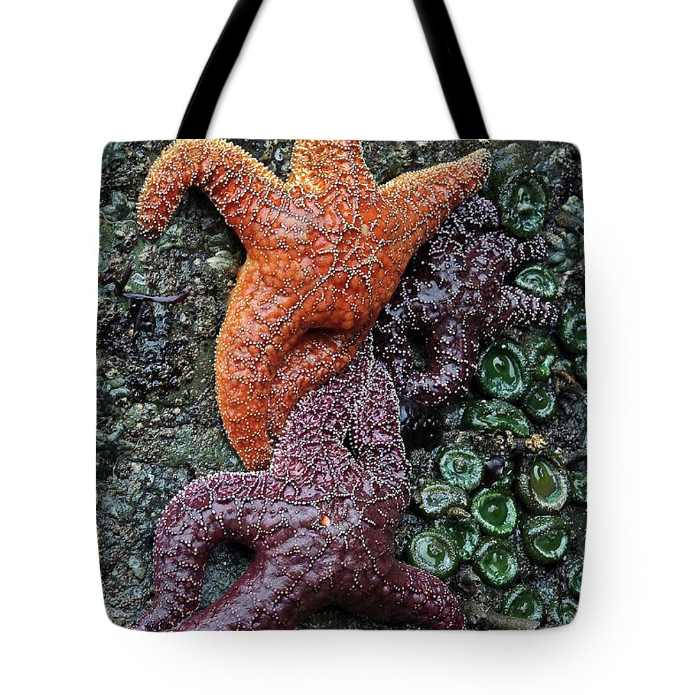 Olympic National Park Tote Bag featuring the photograph Tide Pool #1 by Paul Schultz