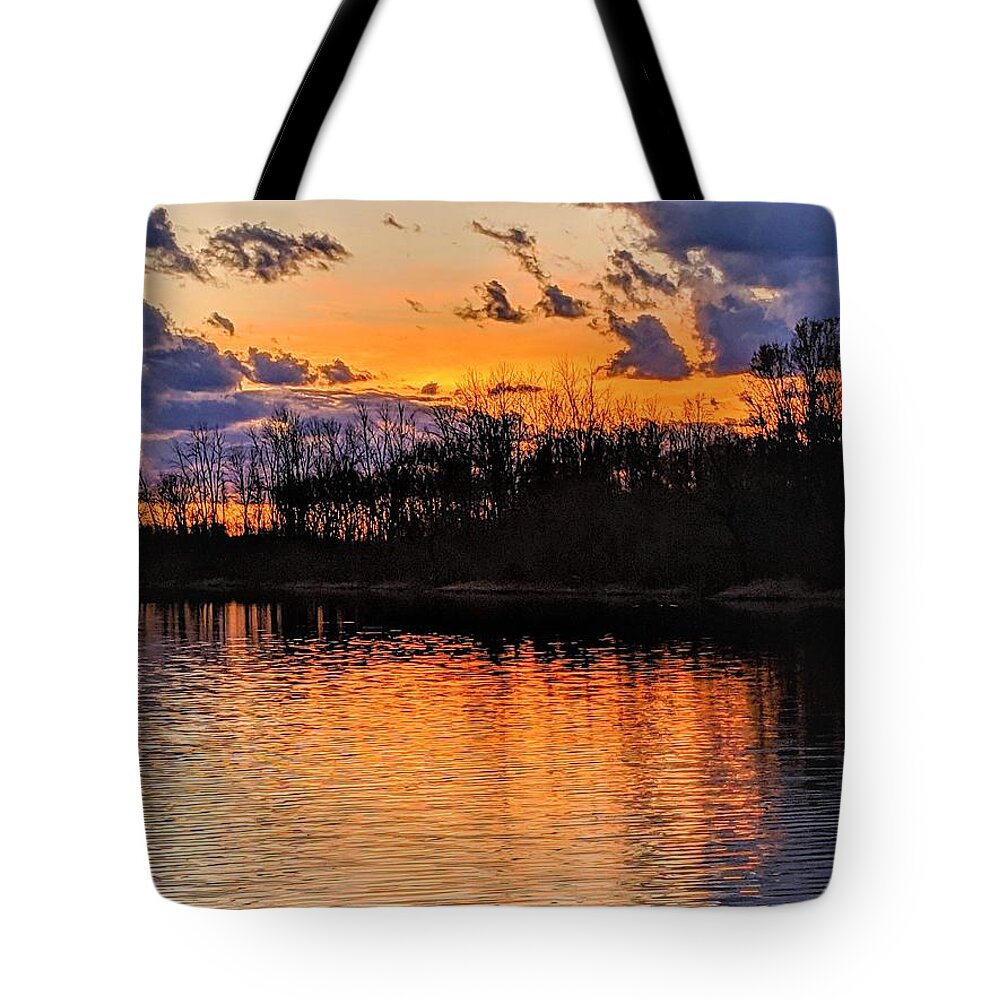  Tote Bag featuring the photograph Tinkers Creek Park Sunset by Brad Nellis