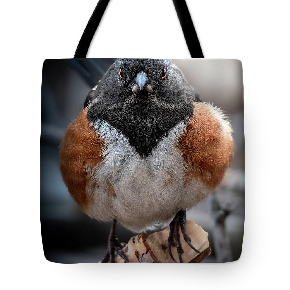 Spotted Towhee Tote Bags