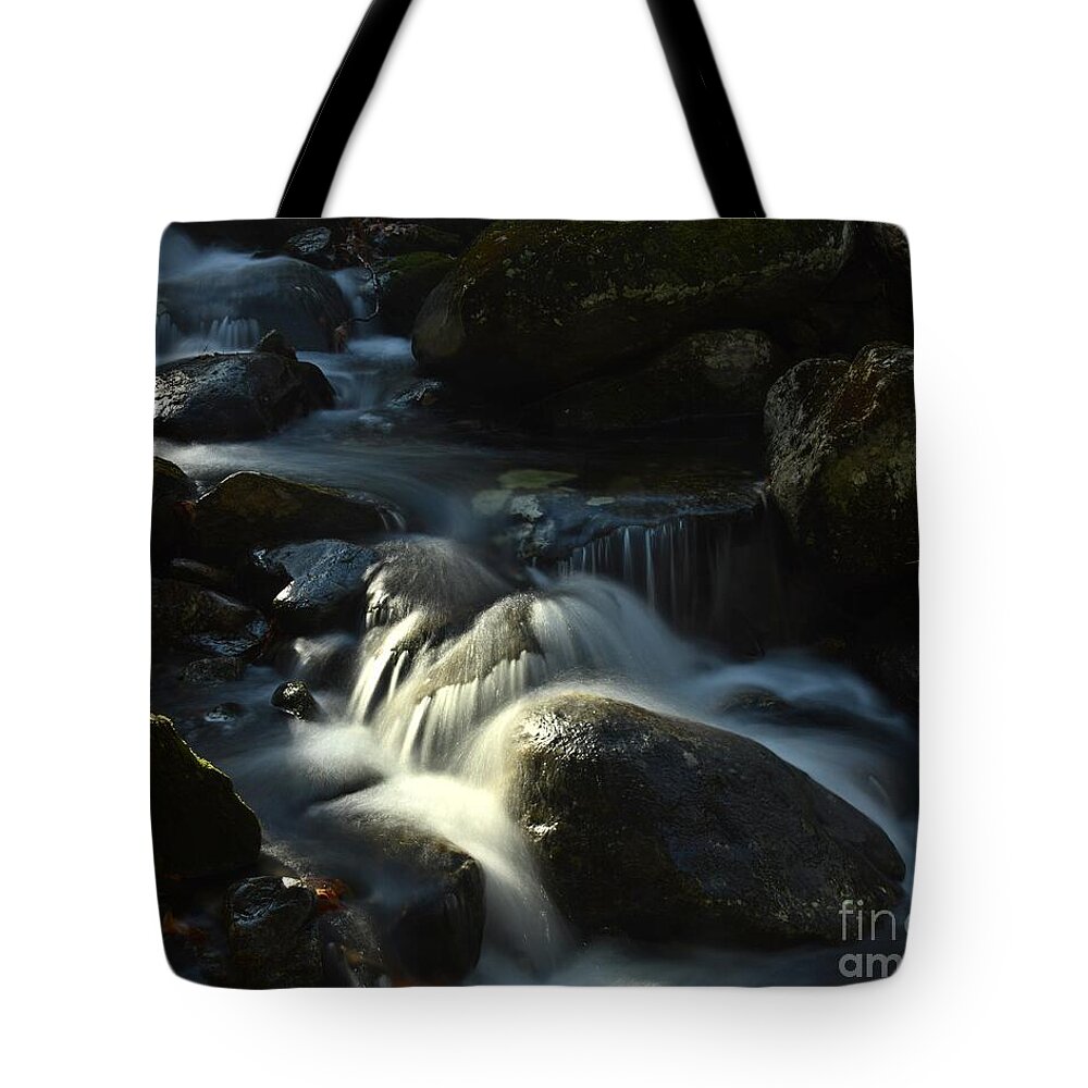Waterfalls Tote Bag featuring the photograph Town Line Brook #1 by Steve Brown