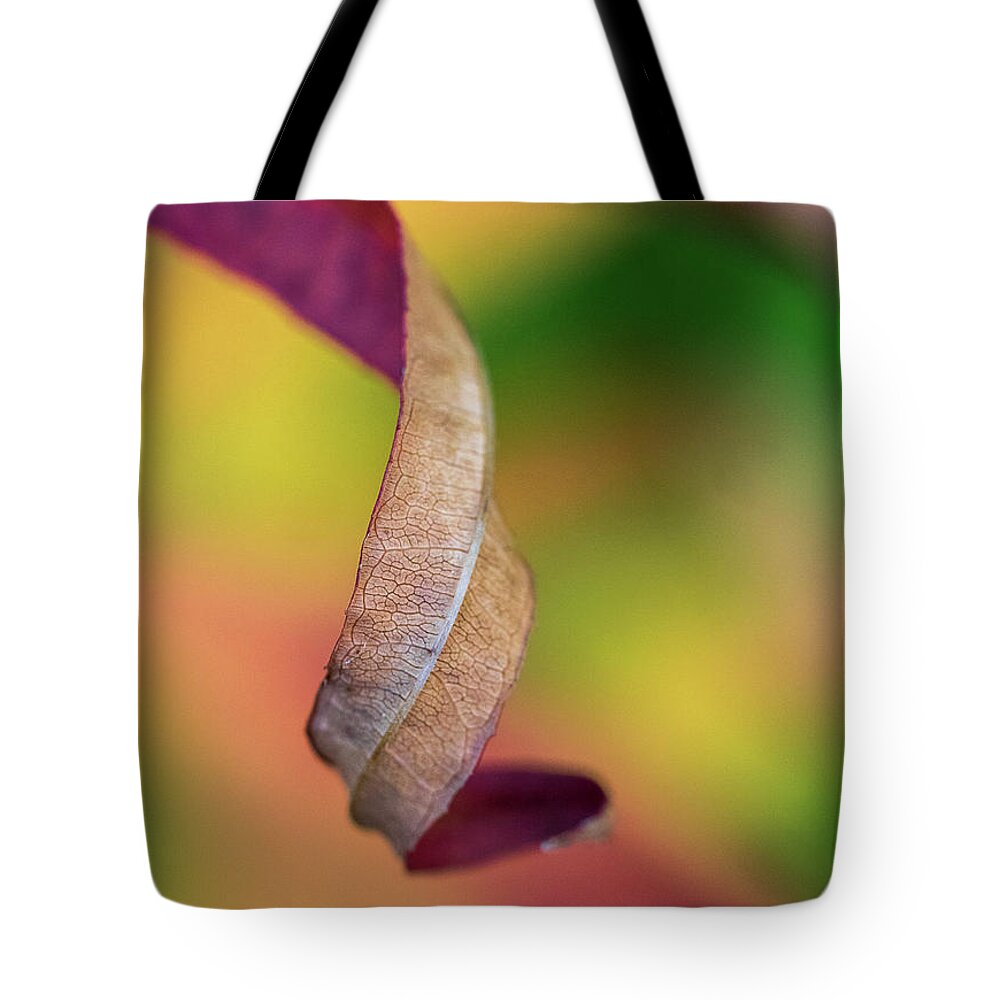 Curve Tote Bag featuring the photograph Twist #1 by Lynn Wohlers