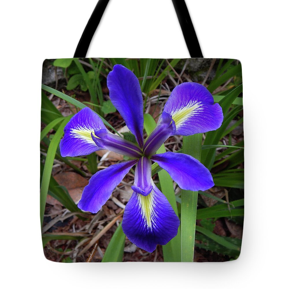 Flower Tote Bag featuring the photograph Velvet Iris by Karen Stansberry