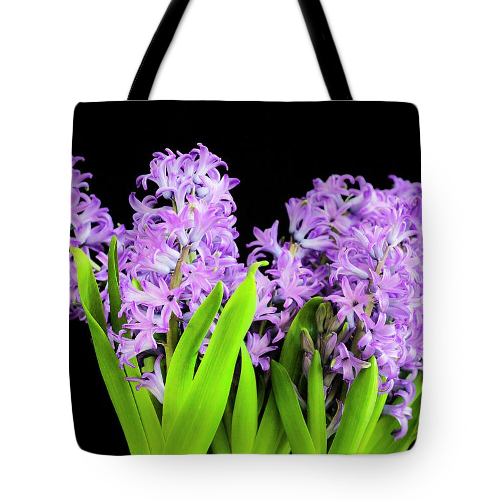 Hyacinths Tote Bag featuring the photograph Violet Hyacinths X102 #1 by Rich Franco