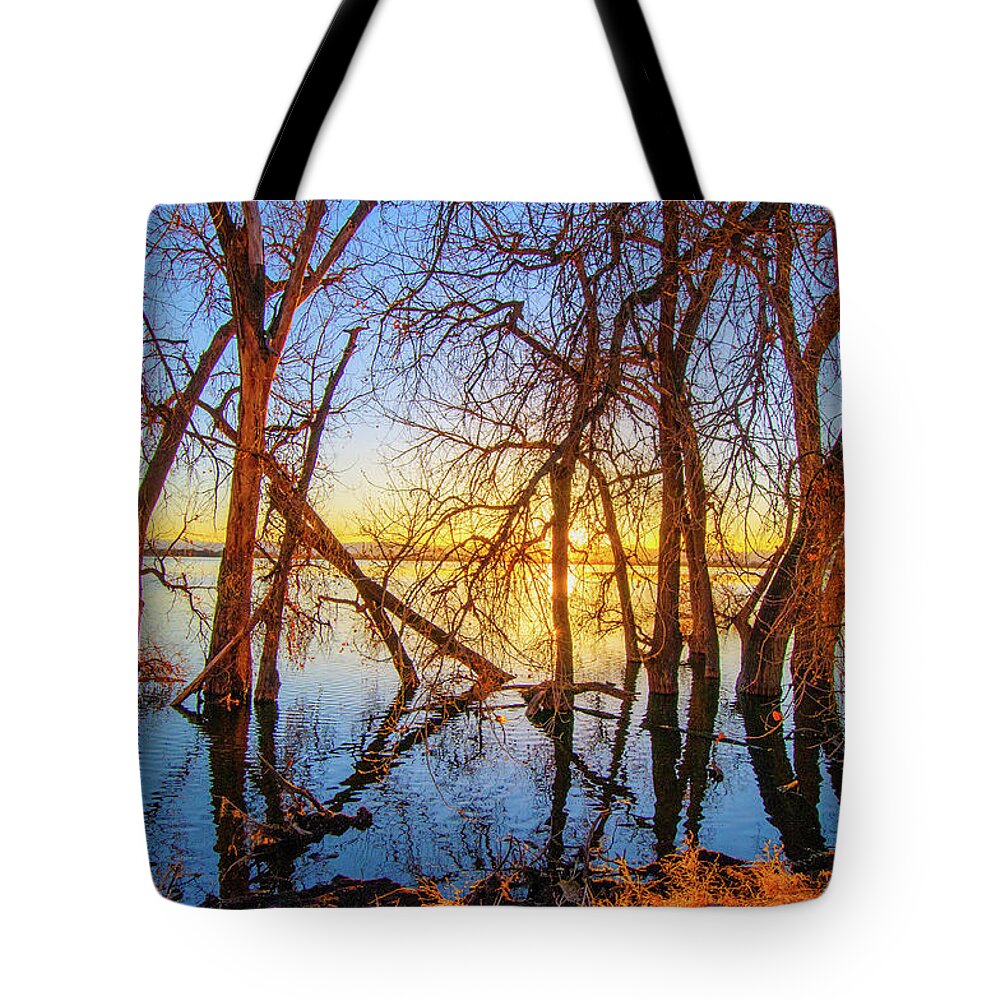 Autumn Tote Bag featuring the photograph Twisted Trees, bare trees on Barr Lake, during sunset, in Barr Lake State Park, Brighton, CO Spring by Tom Potter