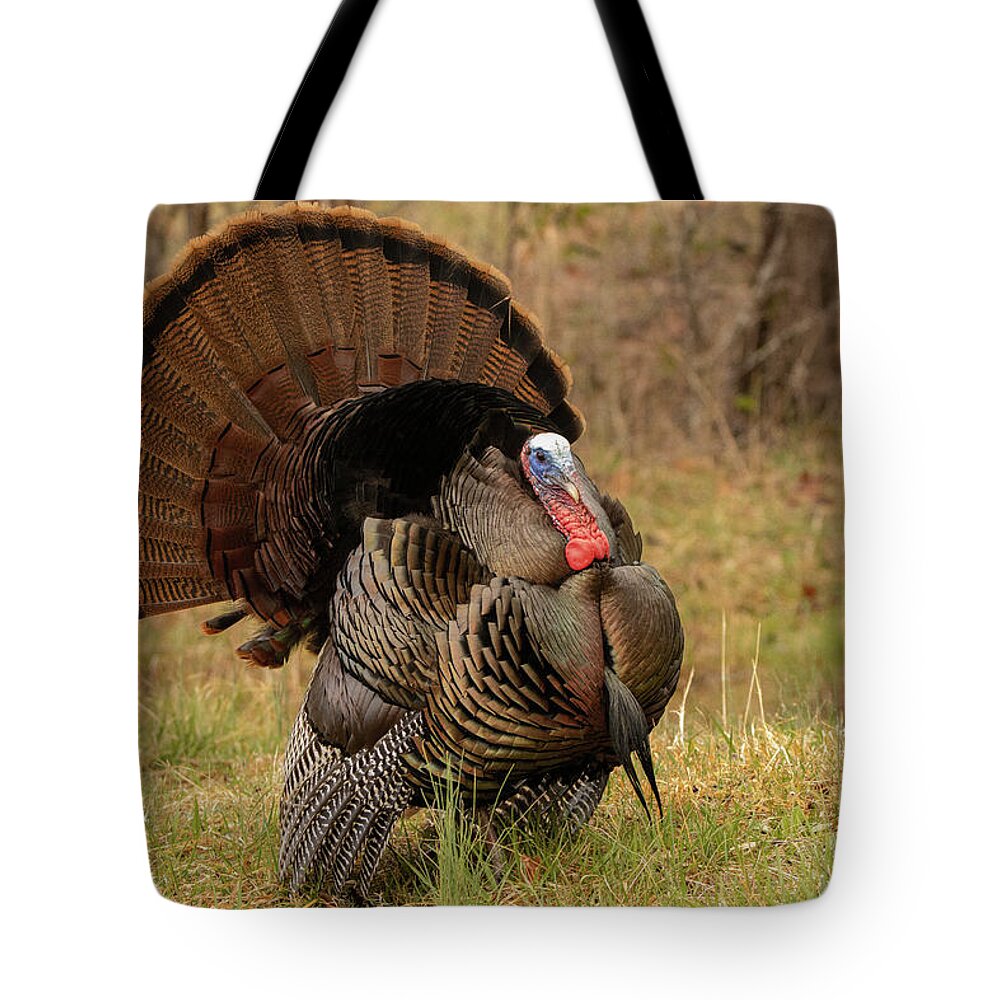 Turkey Tote Bag featuring the photograph Wild Turkey #1 by Doug McPherson