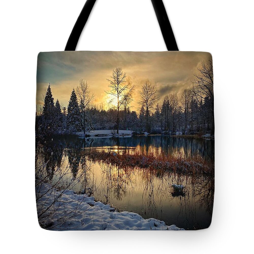 Winter Tote Bag featuring the photograph Winter Sunset #1 by Jerry Abbott