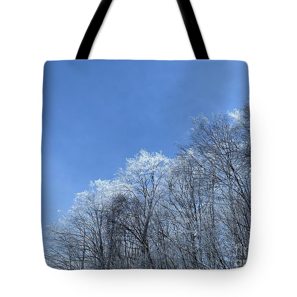  Tote Bag featuring the photograph Winter wonderland by Annamaria Frost