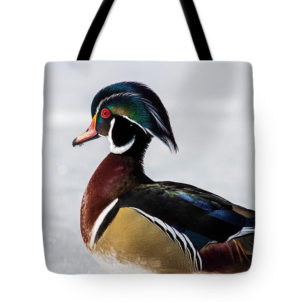 Wood Duck Portrait Tote Bag featuring the photograph Wood duck portrait #2 by Lynn Hopwood