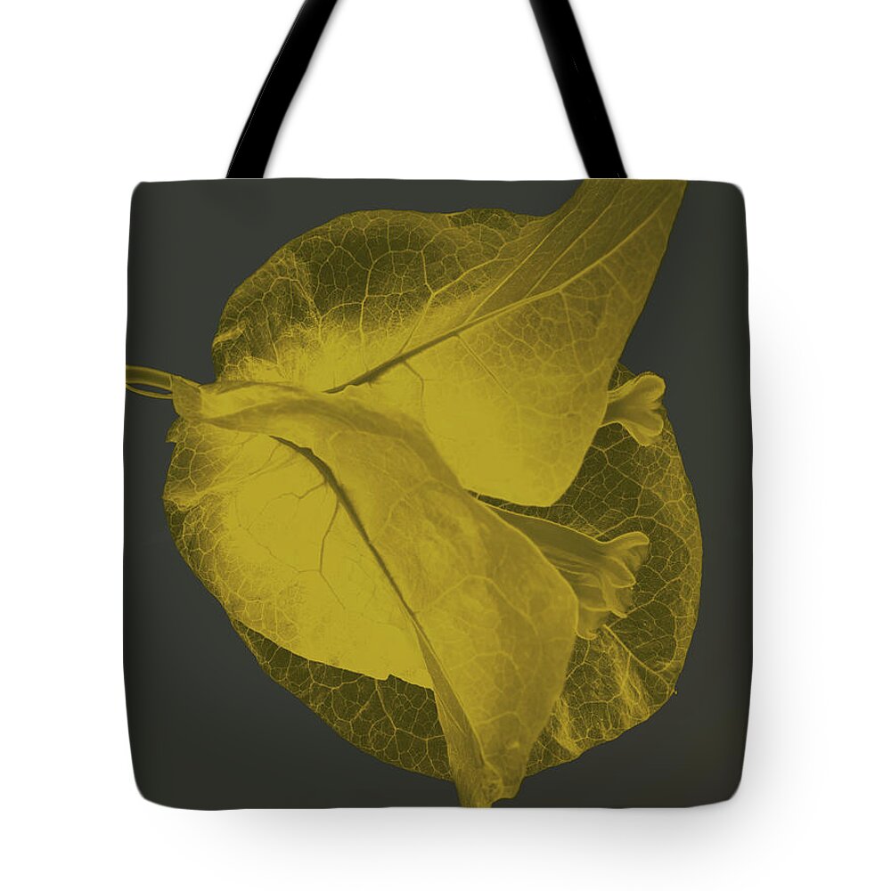 Elegant Tote Bag featuring the photograph Yellow Bougainvillea #10 by Al Fio Bonina