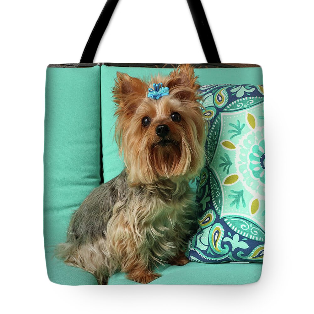 2020 Tote Bag featuring the photograph Yorkie with Blue Bow #1 by Dawn Richards