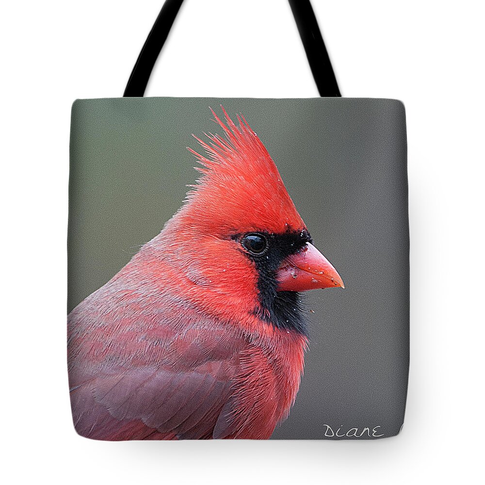 Male Cardinal Tote Bag featuring the photograph Male Cardinal #10 by Diane Giurco