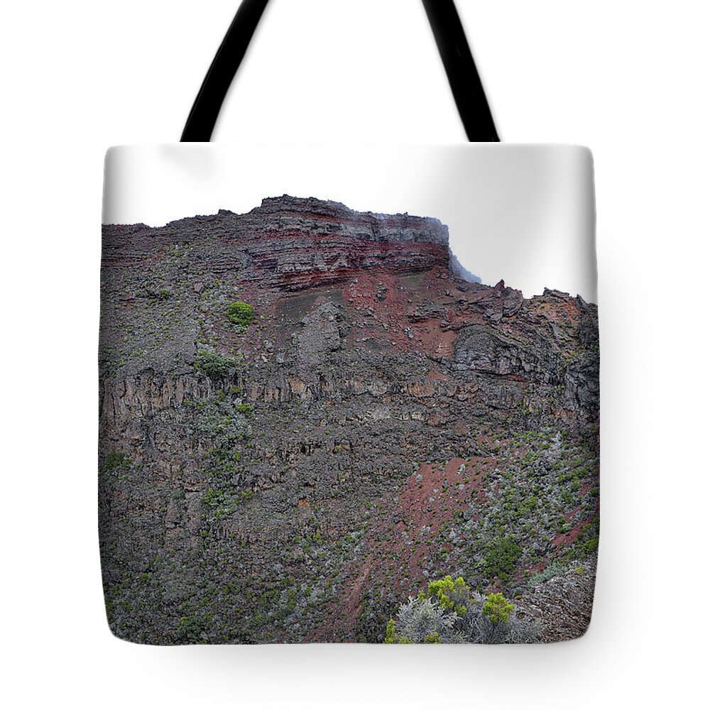 Reunion Islands Africa Tote Bag featuring the photograph Reunion Islands Africa #10 by Paul James Bannerman
