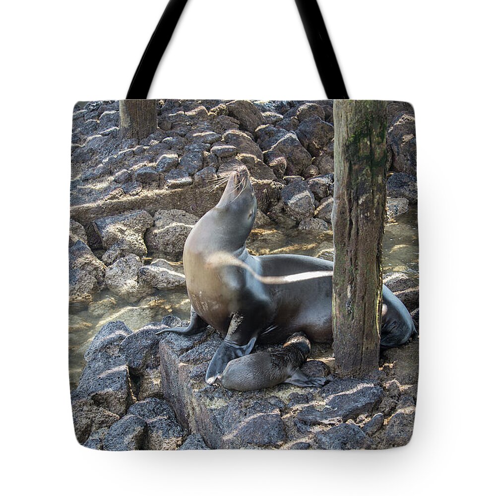 Animals Tote Bag featuring the digital art Sea Lion #10 by Carol Ailles