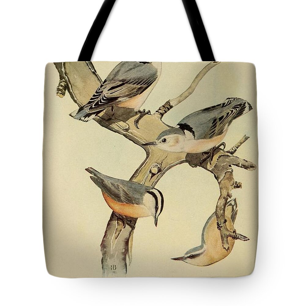 Birds Tote Bag featuring the mixed media Beautiful Vintage Bird #1016 by World Art Collective