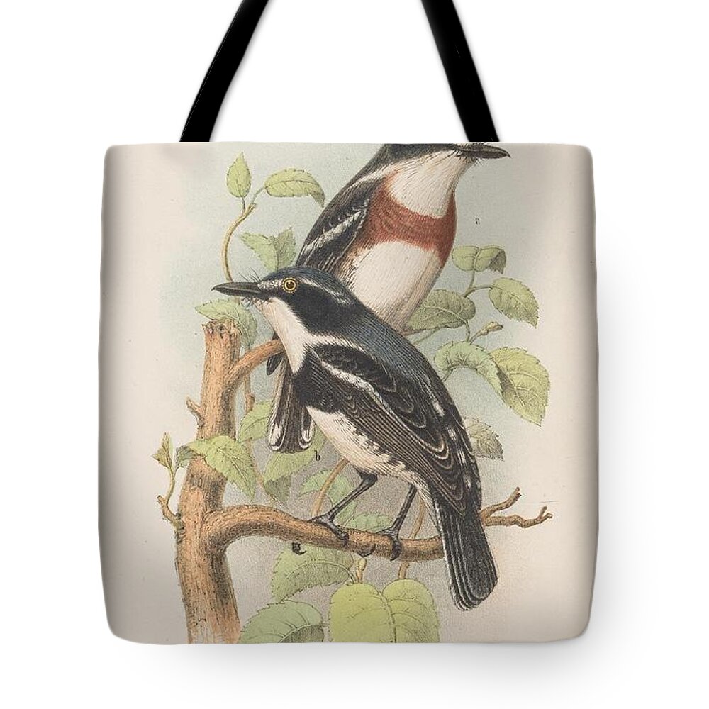 Birds Tote Bag featuring the mixed media Beautiful Vintage Bird #1025 by World Art Collective
