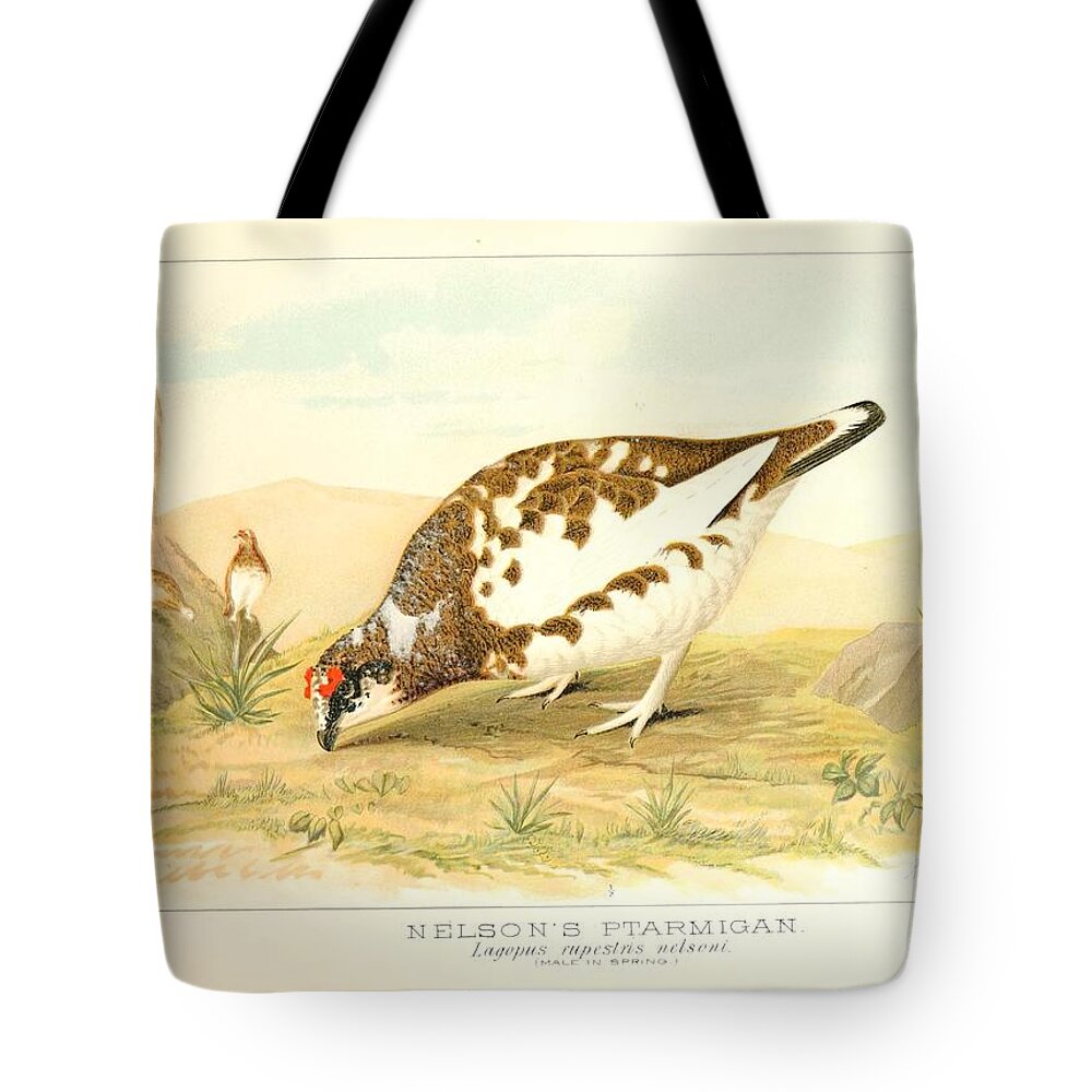 Birds Tote Bag featuring the mixed media Beautiful Vintage Bird #1034 by World Art Collective