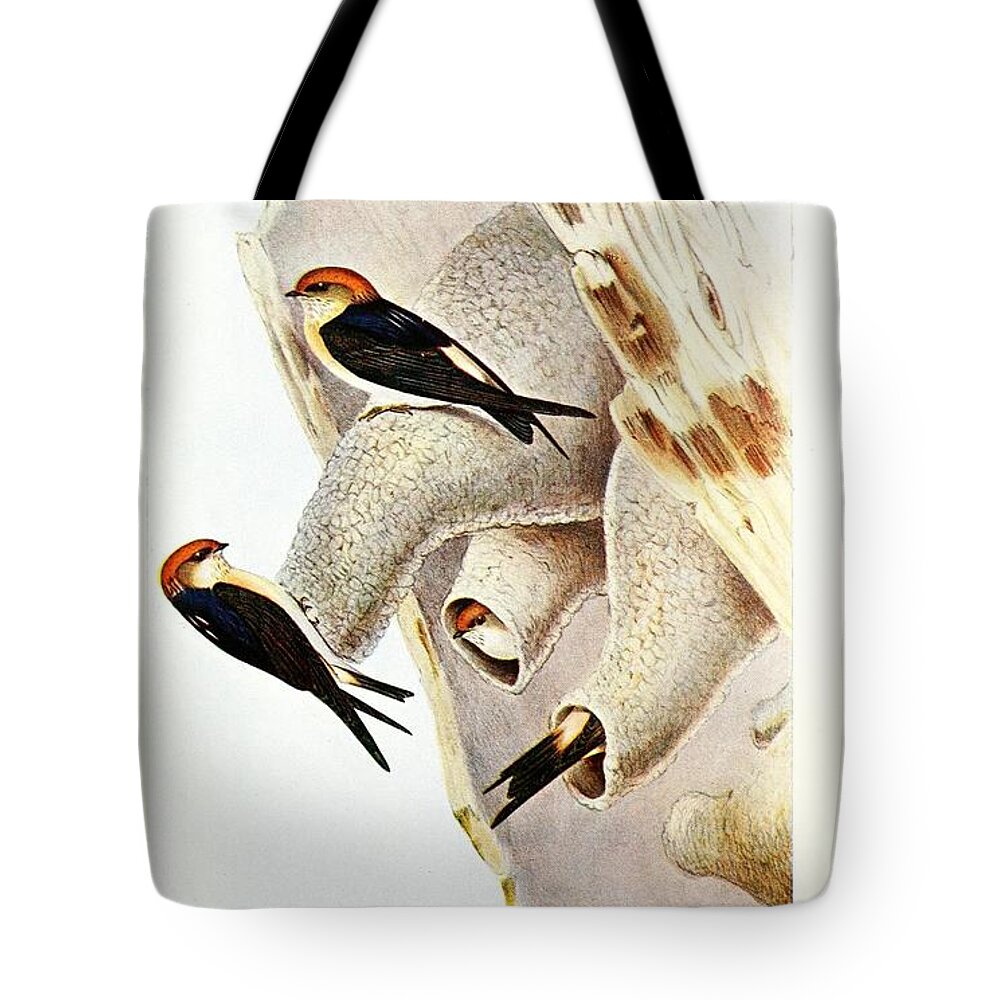 Birds Tote Bag featuring the mixed media Beautiful Vintage Bird #1038 by World Art Collective